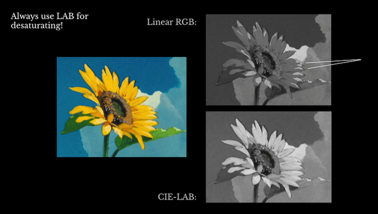 A comparison of two grayscaled images of a sunflower